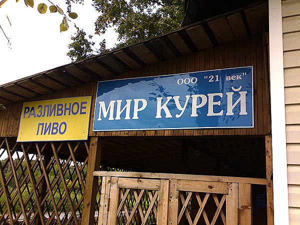 мир курей